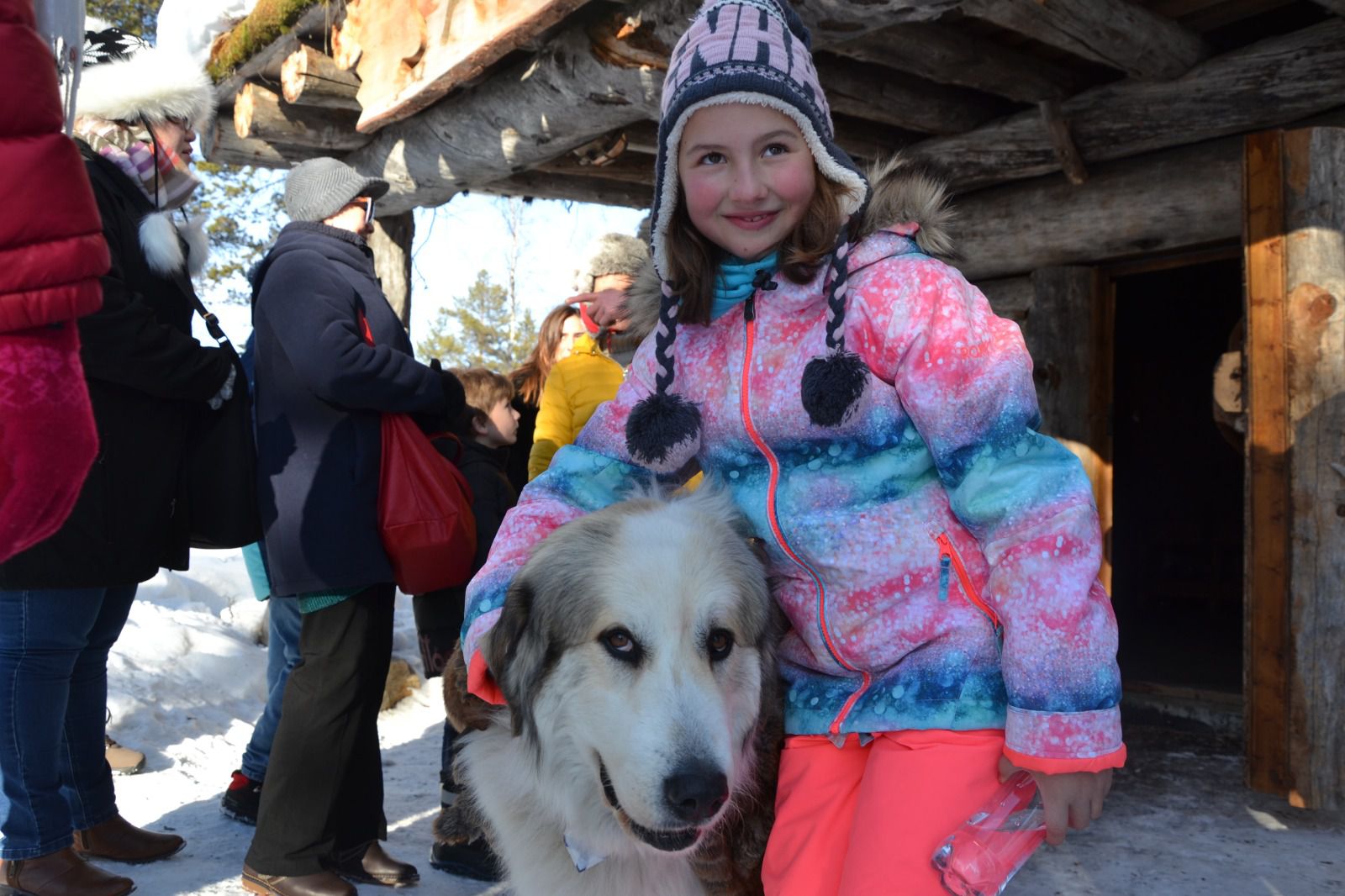 Odoo - Prueba 2 a tres columnas