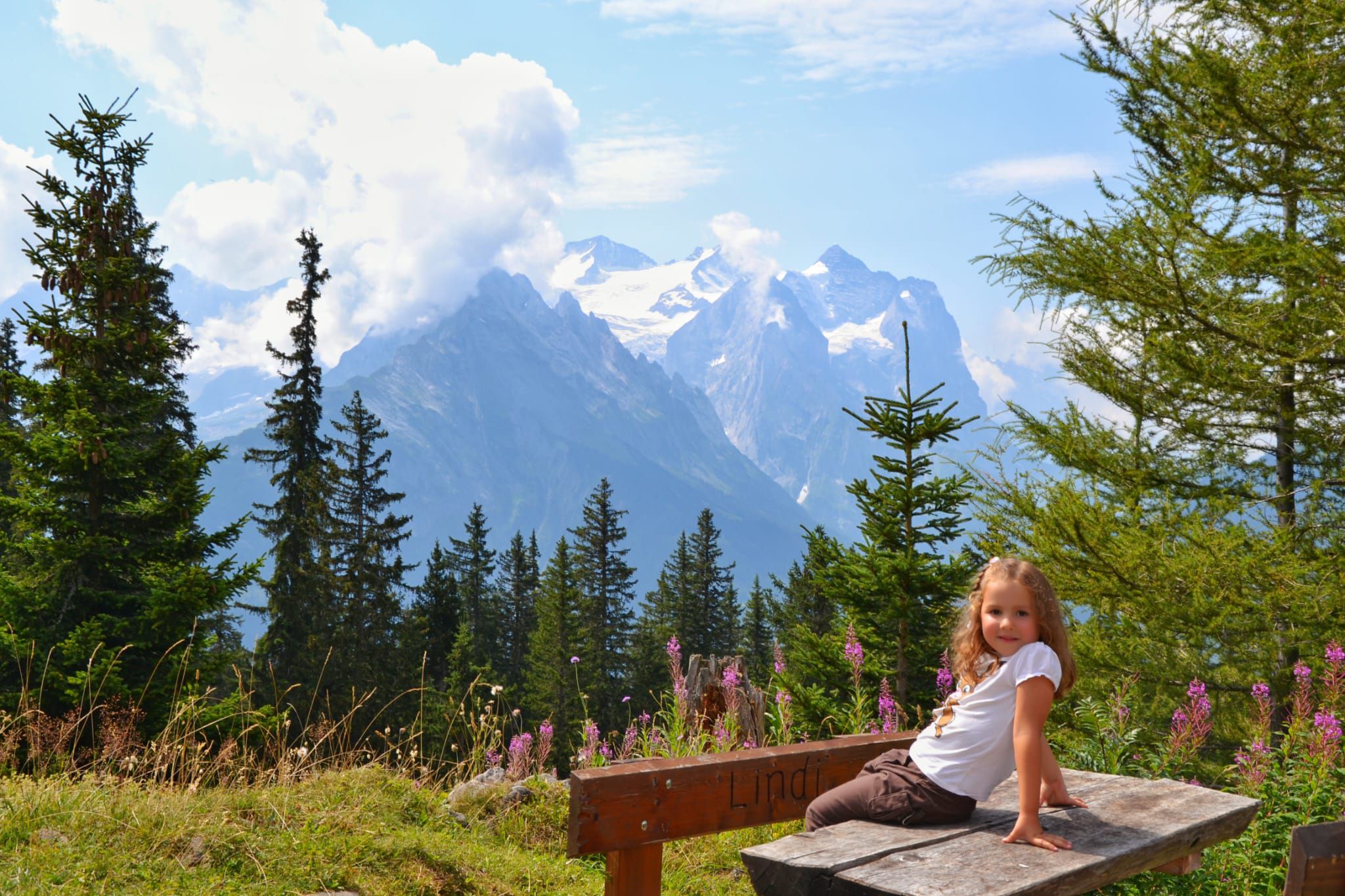 Odoo CMS - una imagen grande