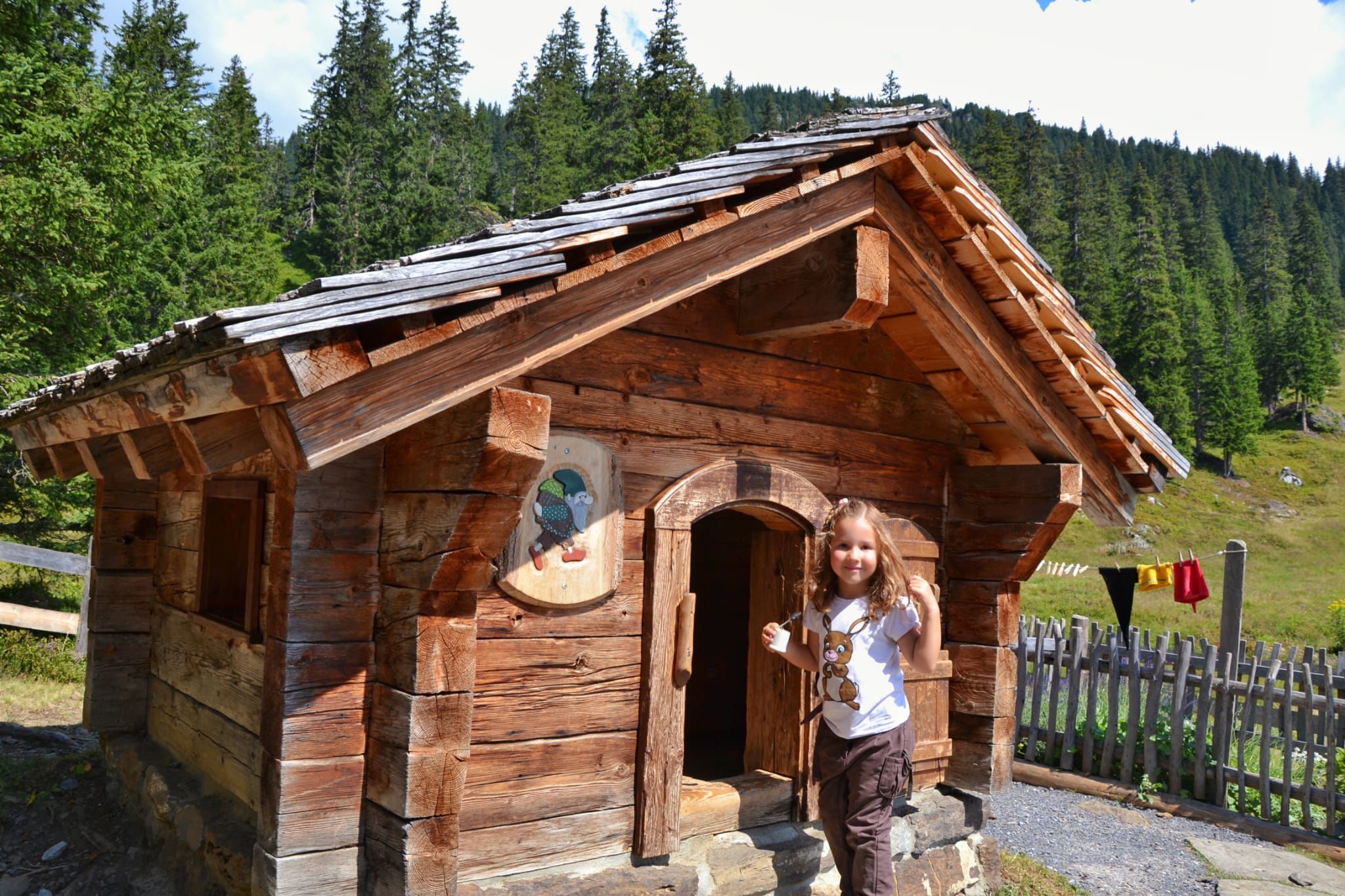 Odoo CMS - una imagen grande