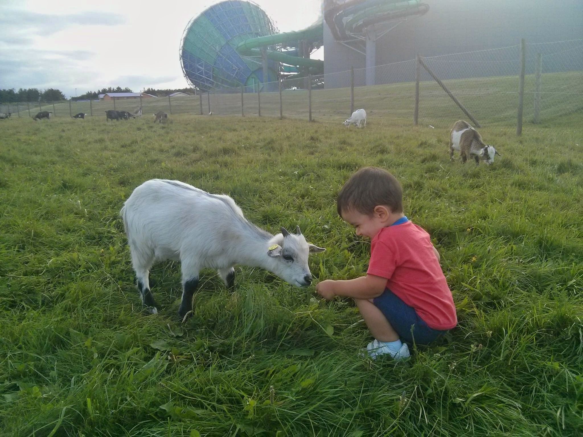 Odoo - Prueba 3 a tres columnas