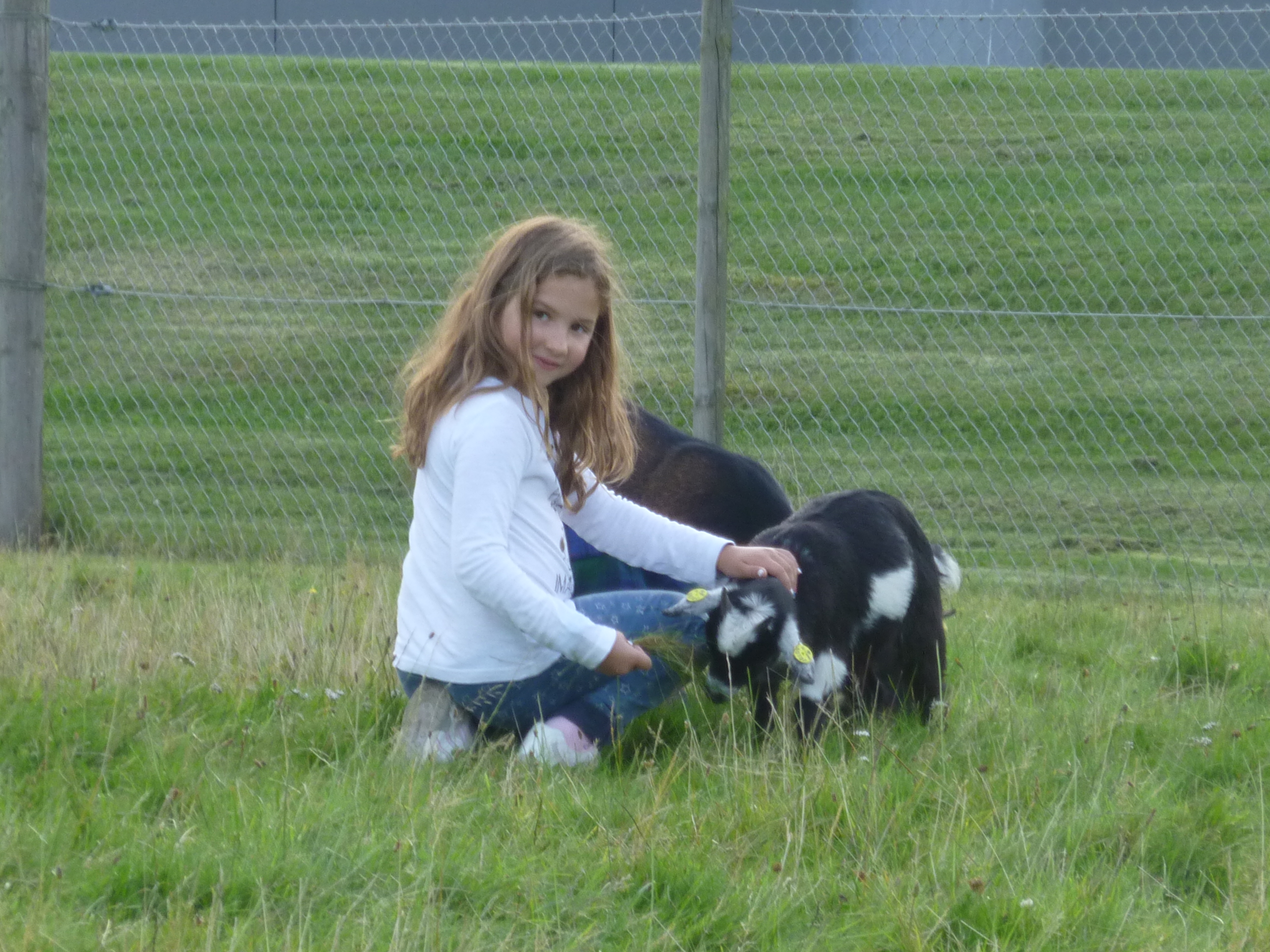 Odoo - Prueba 1 a tres columnas